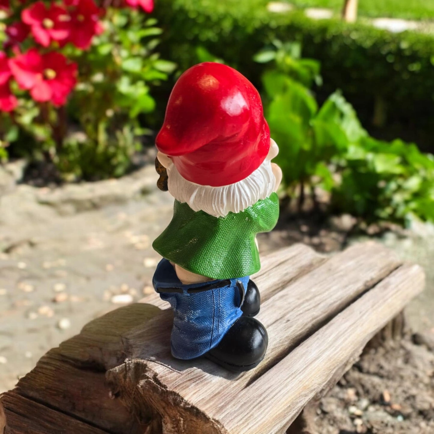 Naughty "Neville" Gnome With Pants Down