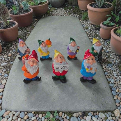 Mini Fairy Garden Gnomes Set of 7