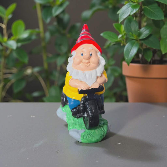 Happy Henry The Dwarf Garden Gnome